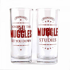 Harry Potter Drinking Glasses Set of 2 (Muggle Studies)