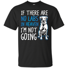 If No Labs In Heaven...