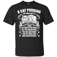 Cat Purring On Your Lap