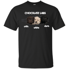 Chocolate Labs