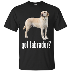 Got Labrador?